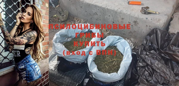 ГАЛЛЮЦИНОГЕННЫЕ ГРИБЫ Алзамай