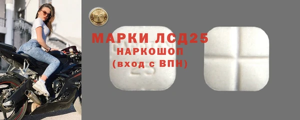 ГАЛЛЮЦИНОГЕННЫЕ ГРИБЫ Алзамай