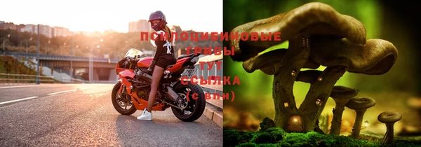 амф Алексеевка