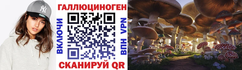 Псилоцибиновые грибы Psilocybe  блэк спрут зеркало  Воткинск 