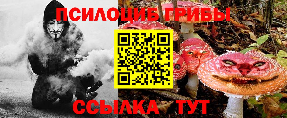 Псилоцибиновые грибы Psilocybine cubensis Воткинск