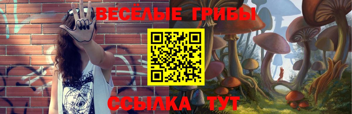 Псилоцибиновые грибы Psilocybine cubensis  Вход с VPN  купить  сайты  Воткинск  Псилоцибиновые грибы Cubensis 
